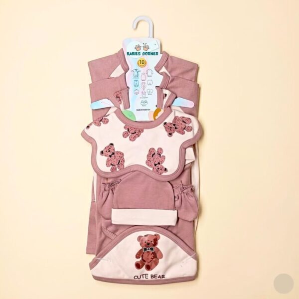 Premium 10 Piece Baby Starter Set - Bear - Mauve